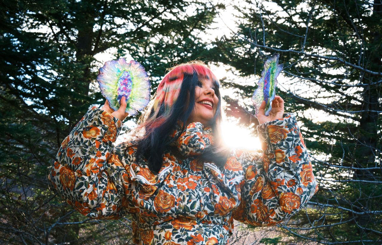Zangeres Björk: ‘Liedjes vind ik een vanzelfsprekender gezelschap dan mensen’ 