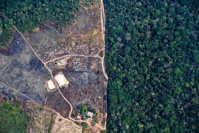 Aan deze waanzin moet een einde komen NRC