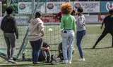 A sports day for minors in Arnhem.