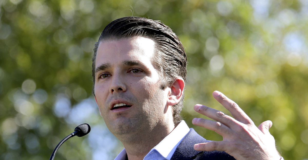 Opeens is Donald Trump jr. de grootste voor de president NRC