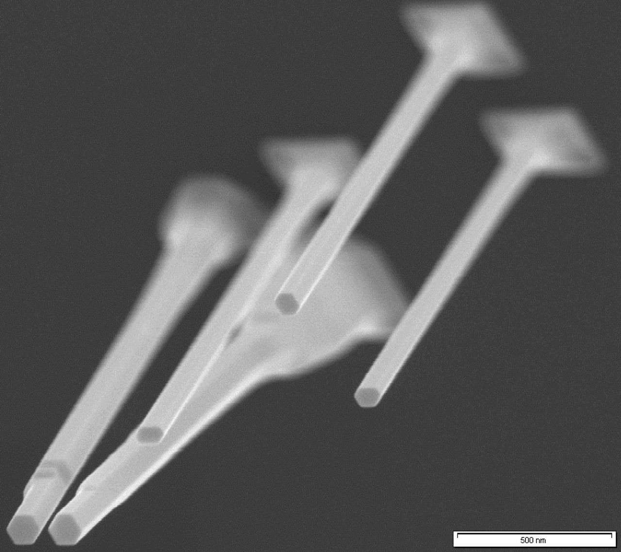 Elektronenmicroscopische opname van nanodraadjes, hier nog op hun ondergrond, die fungeren als minilasertjes. Rechts een interferentiepatroon dat ontstaat als lichtgolven uit de uiteinden van een los draadje elkaar ontmoeten. Foto’s FOM