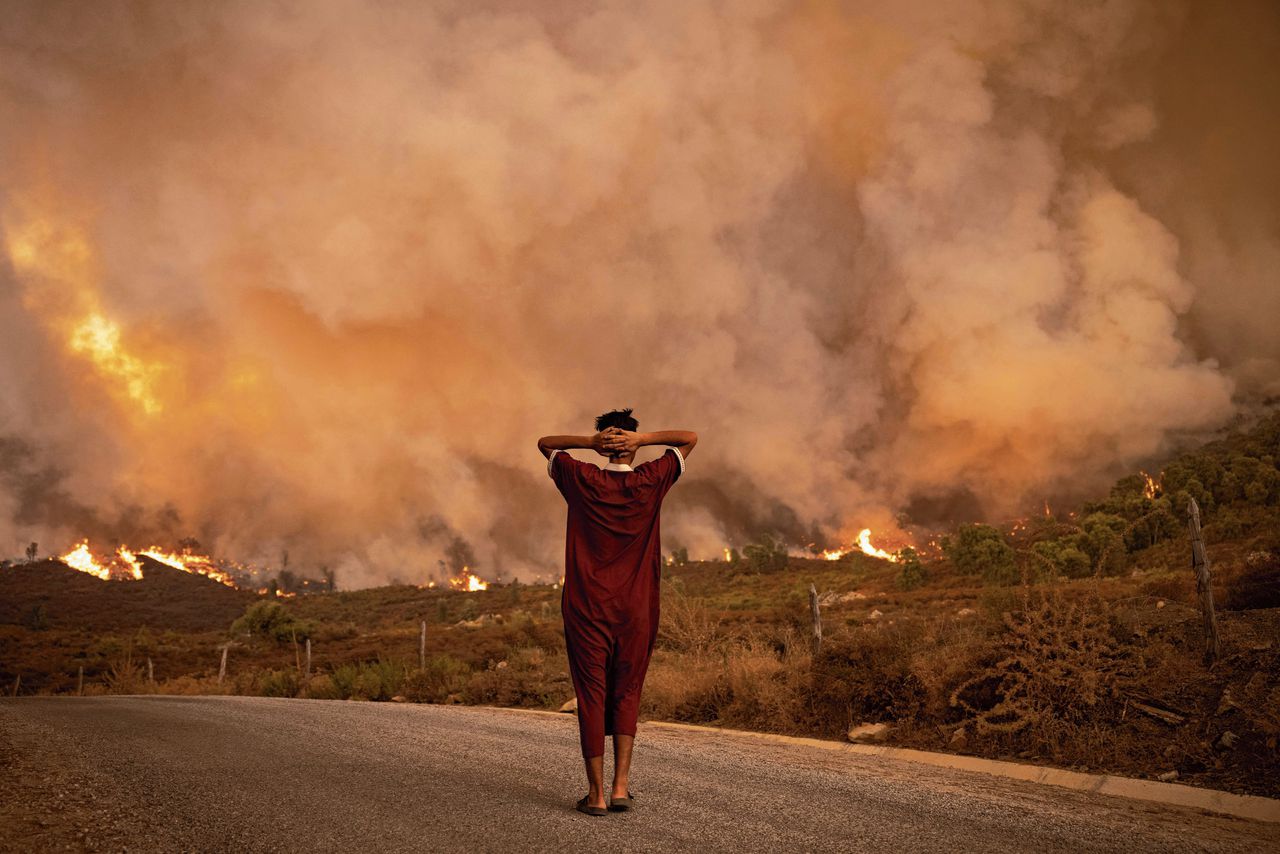 In augustus 2021 teisterden bosbranden Noord-Marokko. Hittegolven en droogtes zullen vaker voorkomen, en toenemen in intensiteit, bevestigt het nieuwste IPCC-rapport.