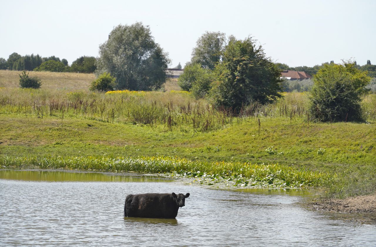 RIVM: vanaf woensdag weer Nationaal Hitteplan - NRC