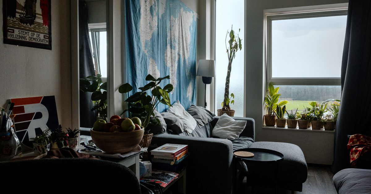 ‘De politiek moet ballen tonen in studentenhuisvesting’