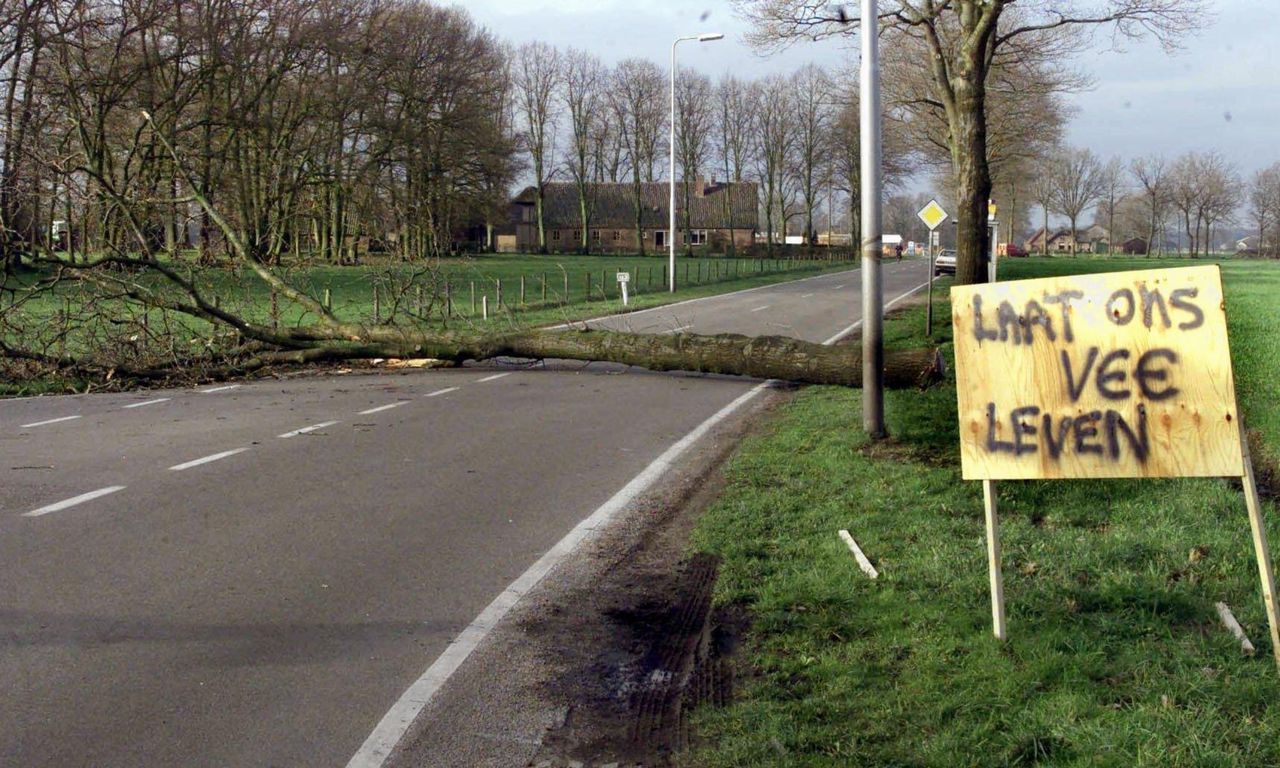 Beeld uit 2001. Boeren in het Gelderse Kootwijkerbroek bestreden het ruimen van hun dieren.