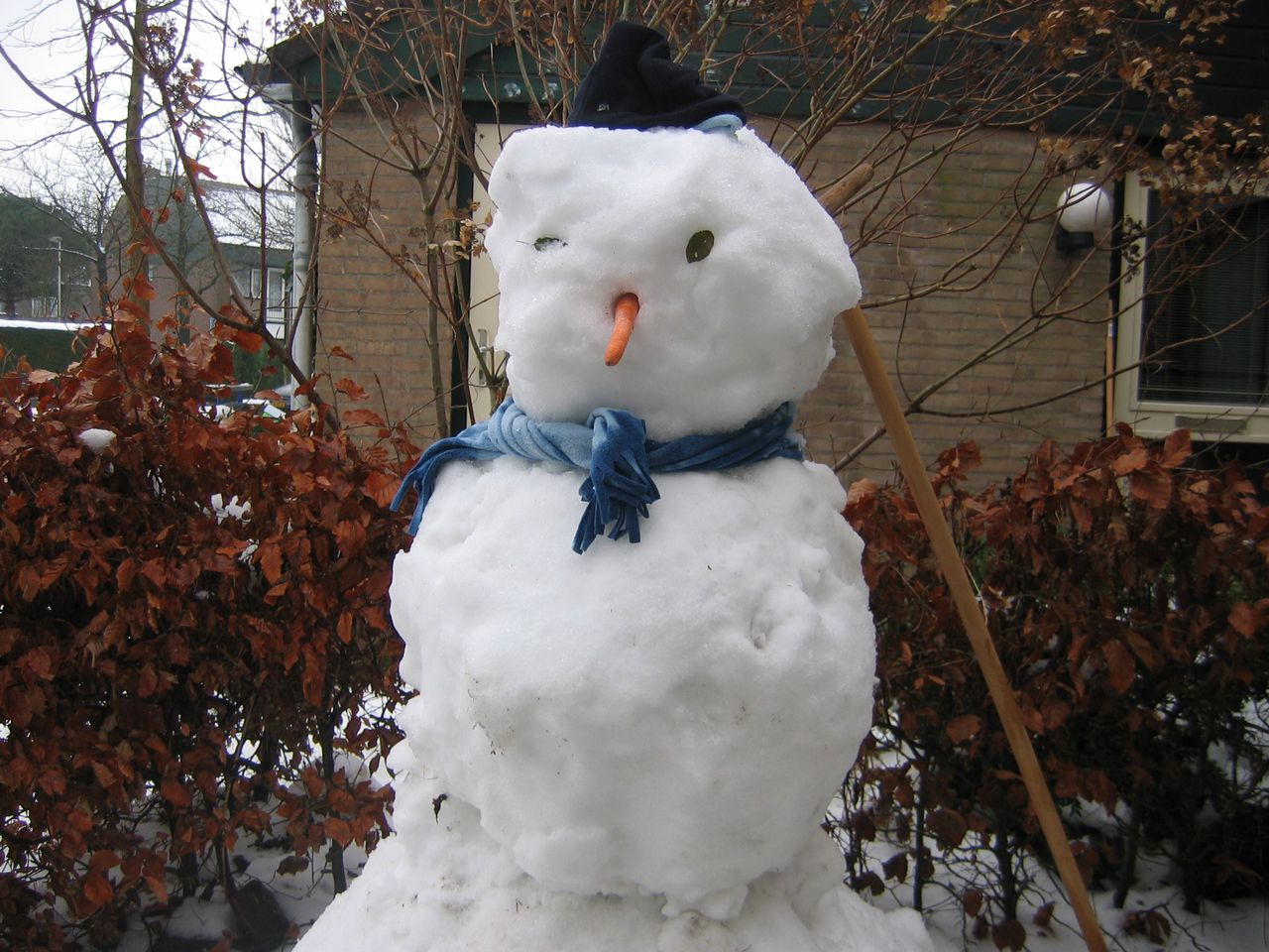 Sneeuwpop Voor Oma Nrc
