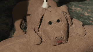 Kunst op de stoep in Londen: honden van zand 
