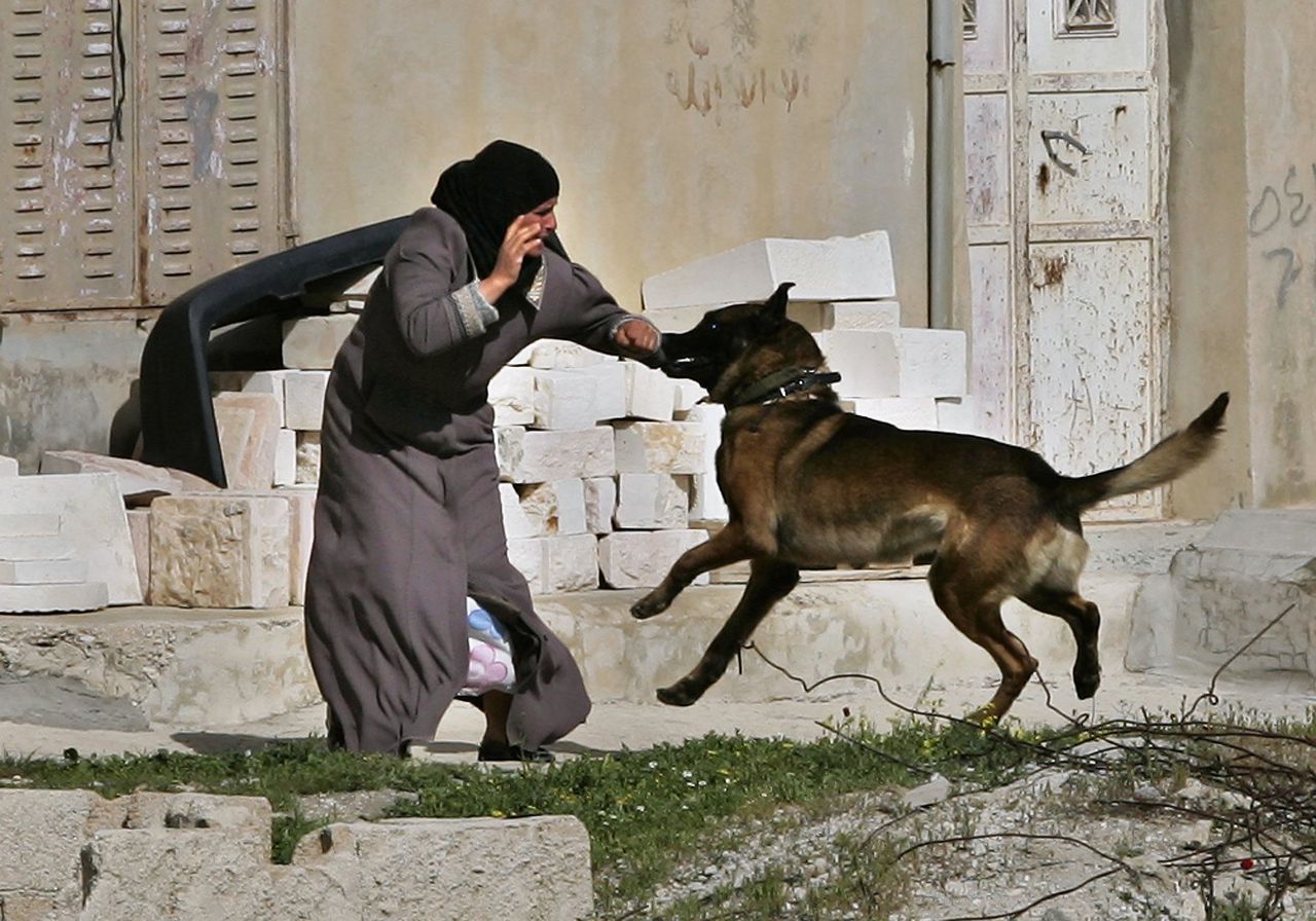 Een Israëlische legerhond valt een Palestijnse vrouw aan.