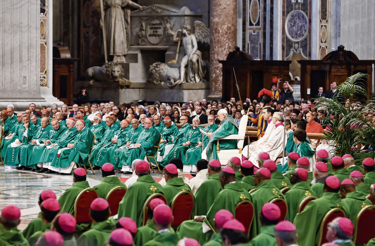 Vaticaanse synode was ‘een stap in de goede richting’ 