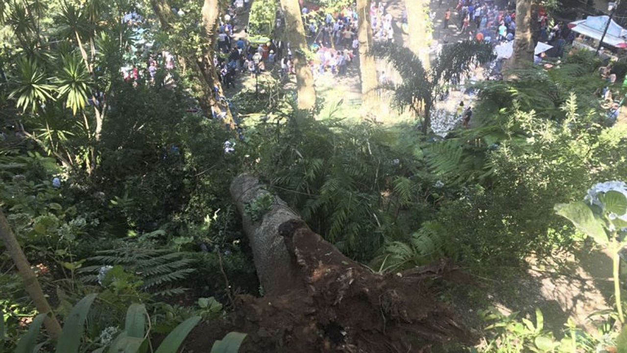 Boom valt op menigte op Madeira: ’11 doden’ 