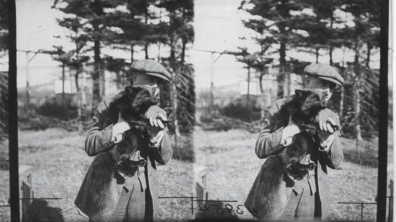 Stereofoto uit 1922 van fokkerijeigenaar Leo Frank met een vos op zijn arm uitr de Rosbank-pelsfarm op het Canadese Prince Edward Island.