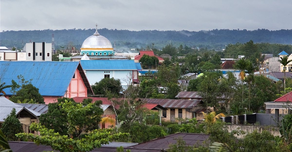 Pemberontak membunuh pilot Selandia Baru di Papua Barat