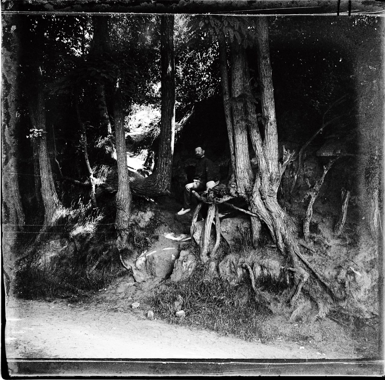 De herontdekte foto van de boomstronken in Auvers-sur-Oise die Van Gogh heeft vereeuwigd op zijn laatste schilderij.