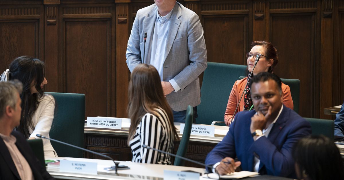 Rotterdamse PvdD-fractie zegt partijlidmaatschap op vanwege steun moederpartij voor Europees bewapeningsplan