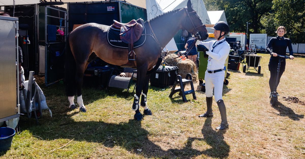 Paarden van CHIO vertroeteld tijdens hitte: ‘Als je deze behandeling ziet, zou iedereen best een paard willen zijn’