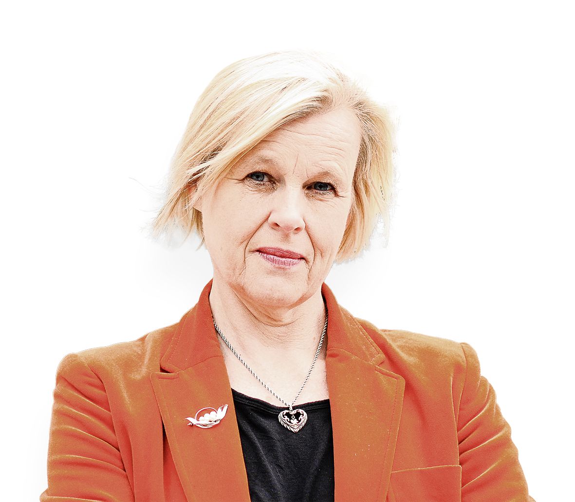 Zweedse politicoloog: ‘De radicaal-rechtse visie op migratie is het nieuwe normaal’ 