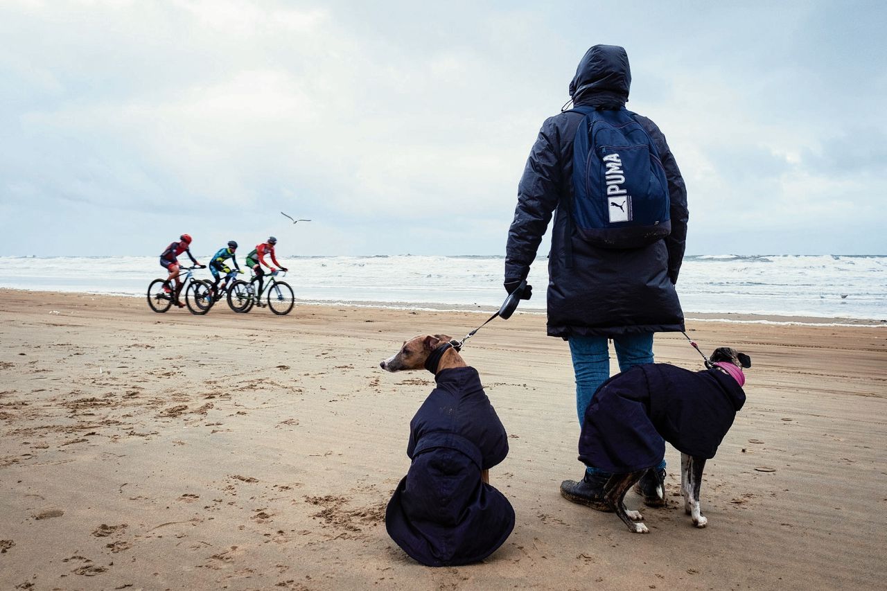 Beachracen is een combinatie van veldrijden en mountainbiken en is vooral in Nederland populair. Bij het EK in Scheveningen stond zondag een soms stormachtige wind. Lars Boom won de koers. Foto’s david van dam
