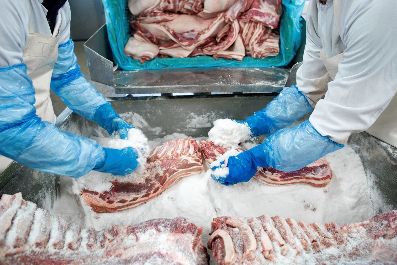 Uitzendbureau Reyhan is een grote jongen in de vleesindustrie. Het levert al circa vijfendertig jaar personeel aan de belangrijkste vleesverwerkers in Nederland. Reyhan werft uitbeners, vleessnijders en ervaren slachters voor ze. Zo’n 1.500 mannen en vrouwen in totaal.