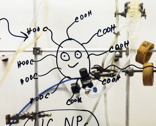 Er is geen  brain drain  aan de Nederlandse universiteiten 