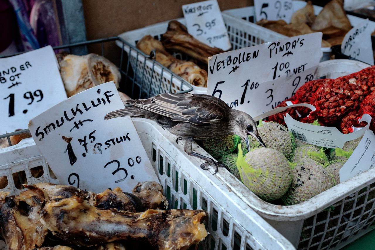 Kraam op de Haagse Markt; uit de fotoserie ‘Fixing Capitalism’