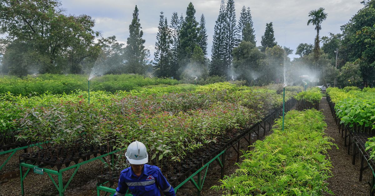 Ecologen: een gezonde economie kan niet zonder een gezonde natuur