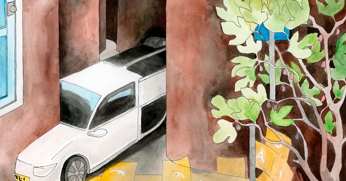 Vraag liever advies aan een deskundige dan aan hallucinerende AI, zegt de rechter