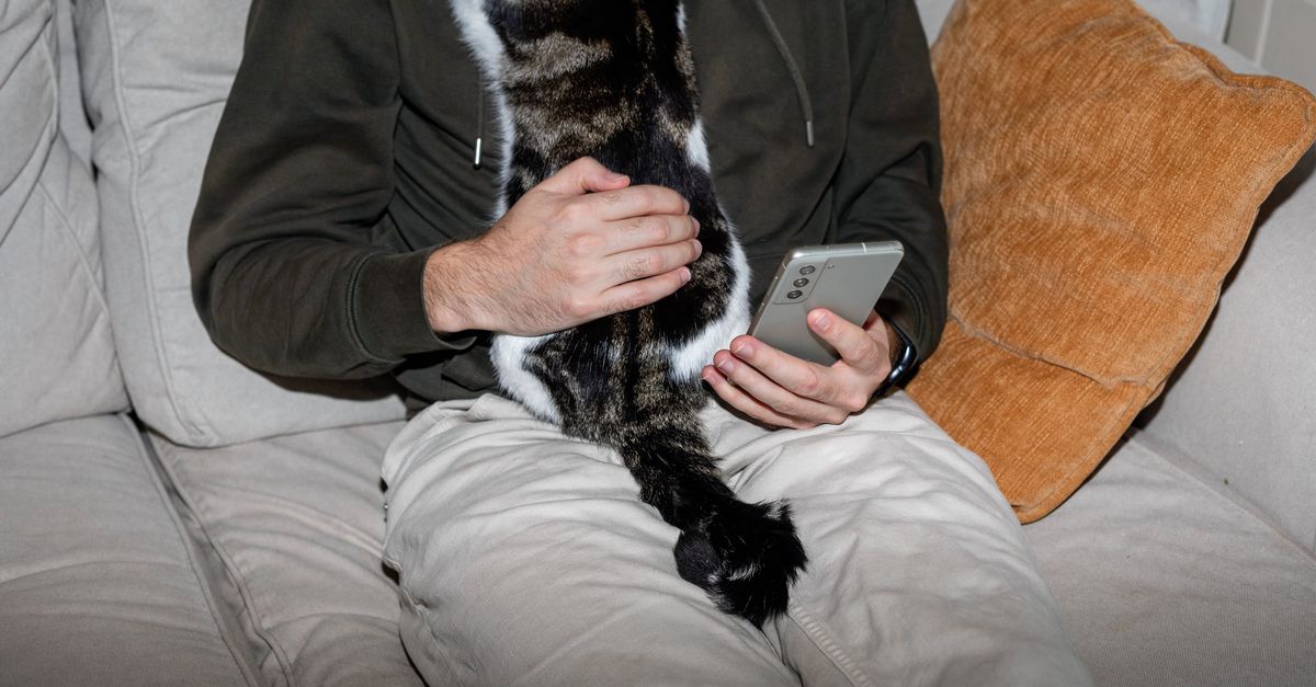 Vijf vuistregels: zo bescherm je je tegen de gevolgen van de Odido-hack