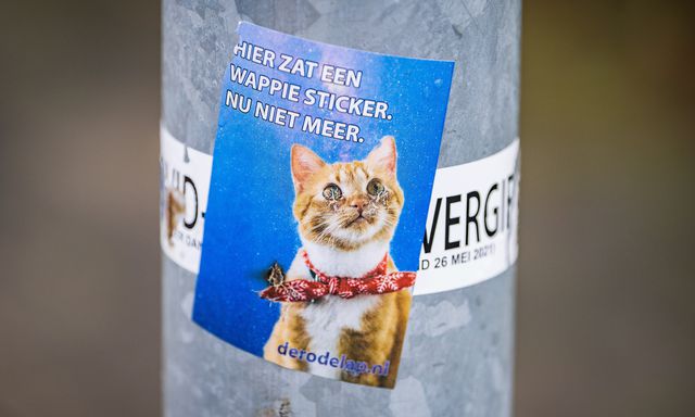 KNVB MAFFIA stickers!