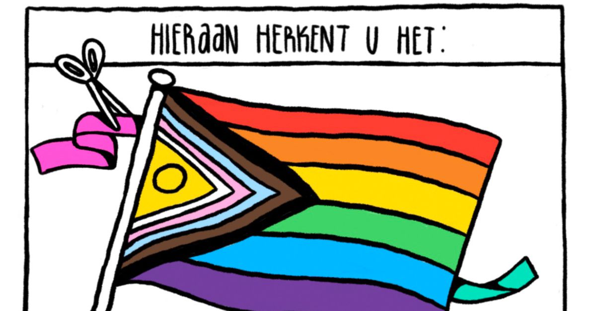 Waar staan de verschillende kleuren van de regenboogvlag voor? - NRC