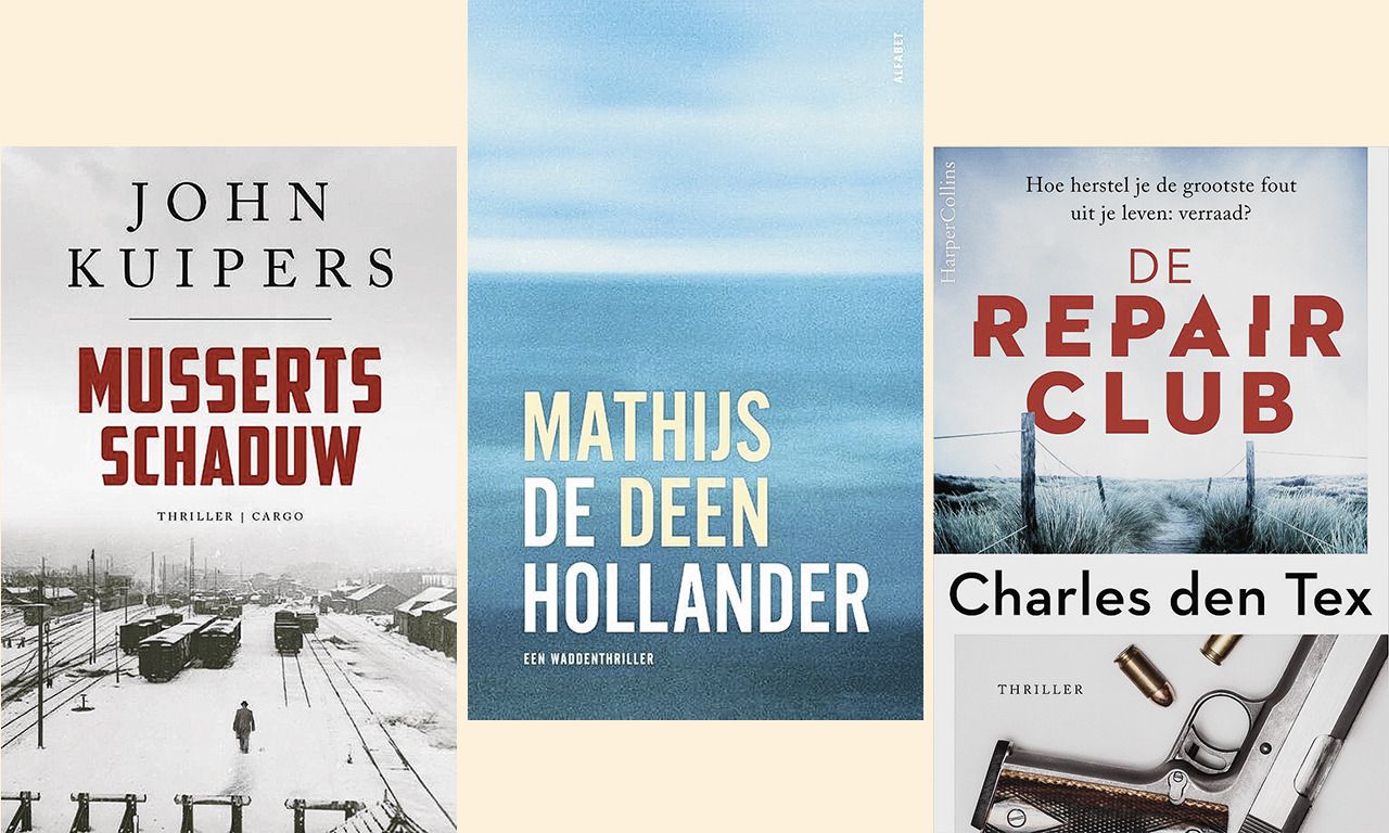 hypothese Doe een poging Huichelaar Lezen in de zomer: zinderende thrillers van eigen bodem - NRC