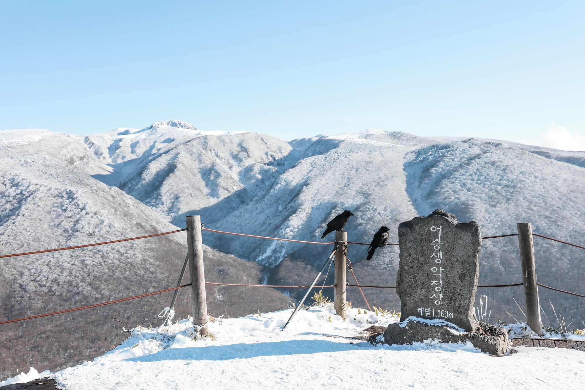 Tegen het vergeten: de bloeiende literatuur van Zuid-Korea - NRC