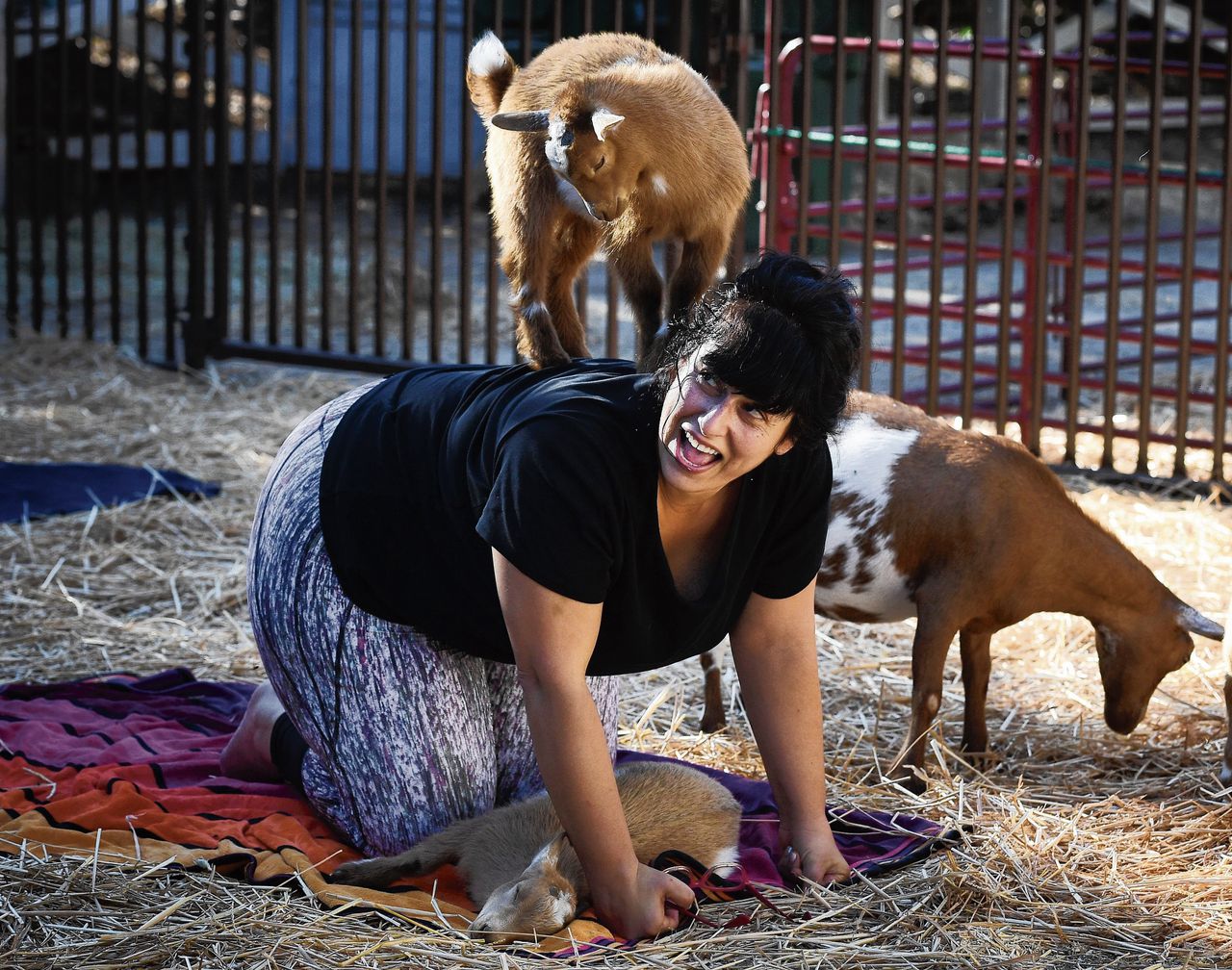 Een deelnemer aan geitenyoga in Californië, VS. „Ze komen de les uit met een stralend gezicht”, zegt docent Brenda Bood.