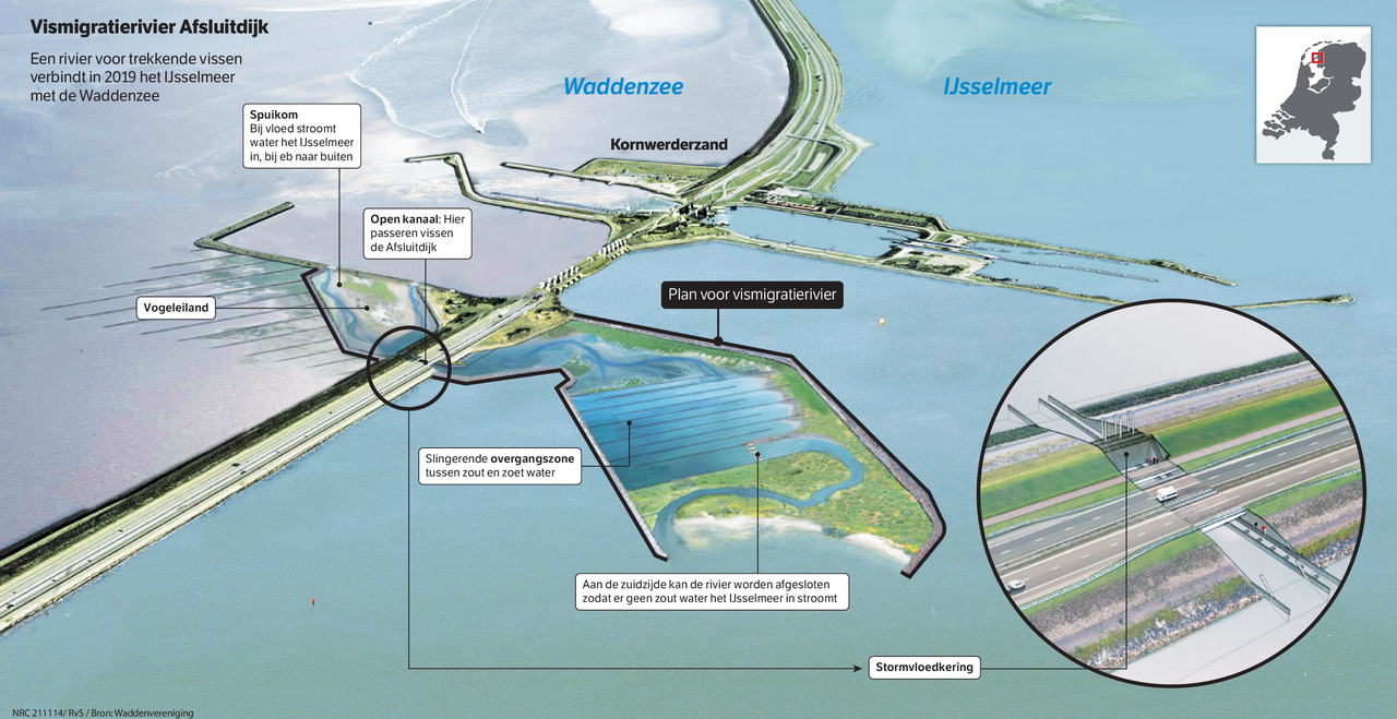 Een rivier dwars door de Afsluitdijk - NRC