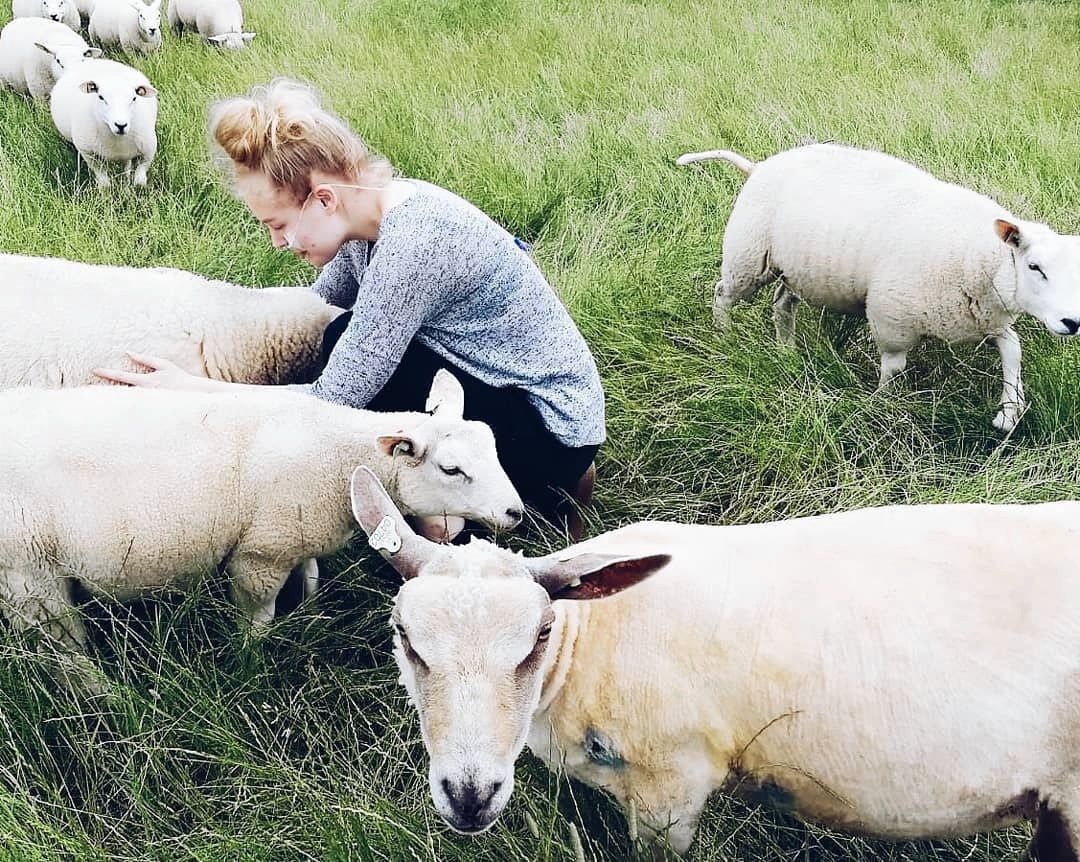 Noa wilde niet dood, ze wilde rust - NRC