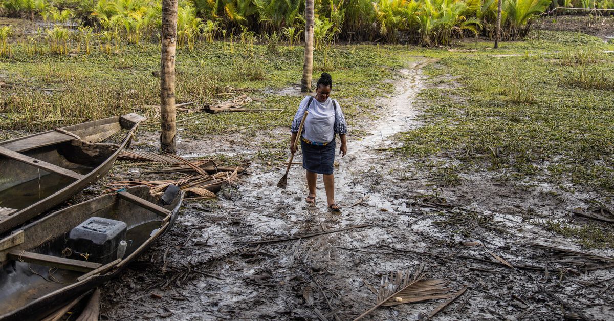 Interne documenten tonen aan: Shell kende gebreken oliepijpleiding in Nigerdelta maar pakte die niet aan