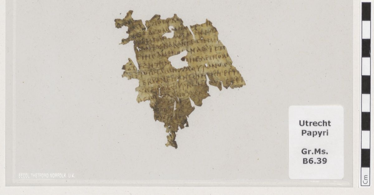 Crumpled parchment fragment in Utrecht library turns out to be a piece of Homer's Odyssey from the third century