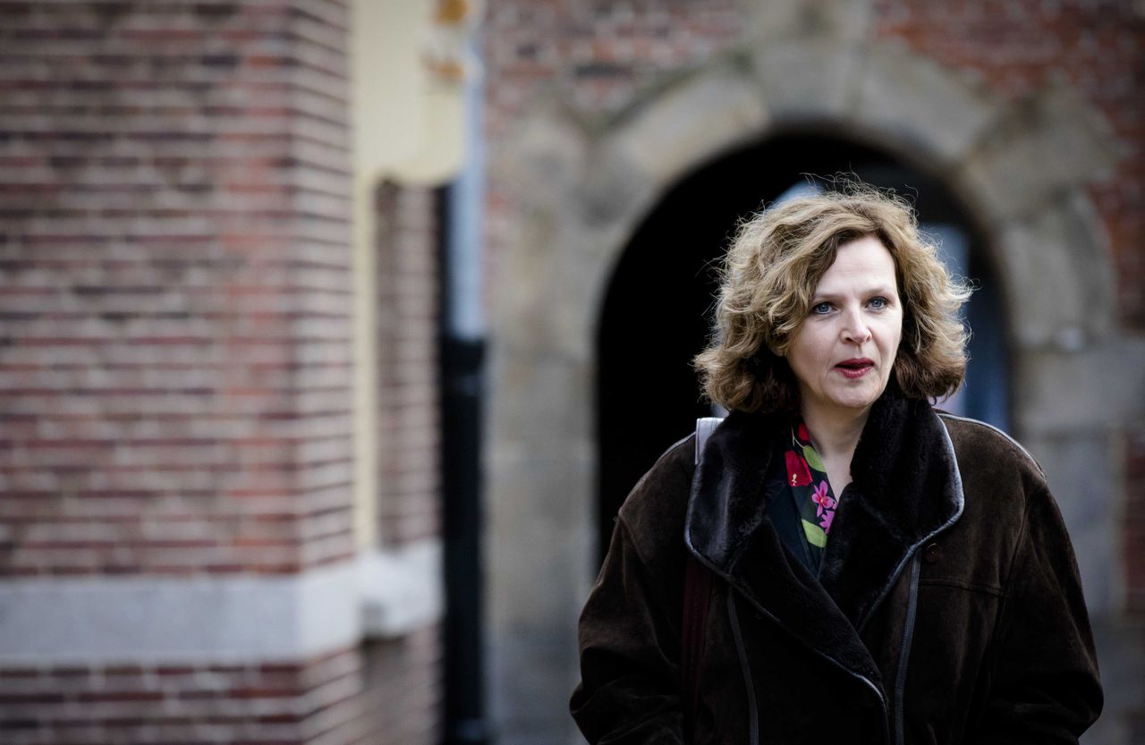 Minister Edith Schippers.