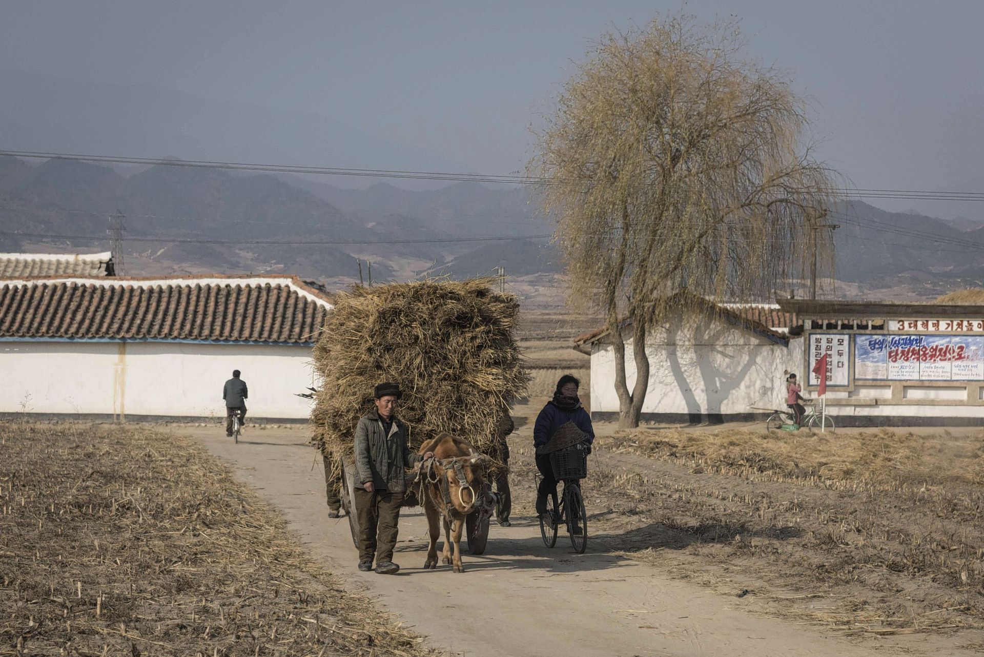 0112inbnorthkorea15.jpg