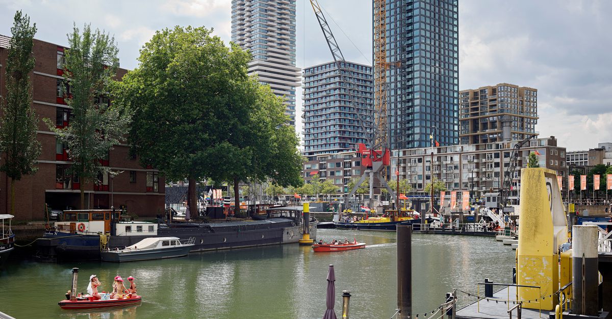 Beneden het water, boven de lucht: de Rotterdammer als waterdier