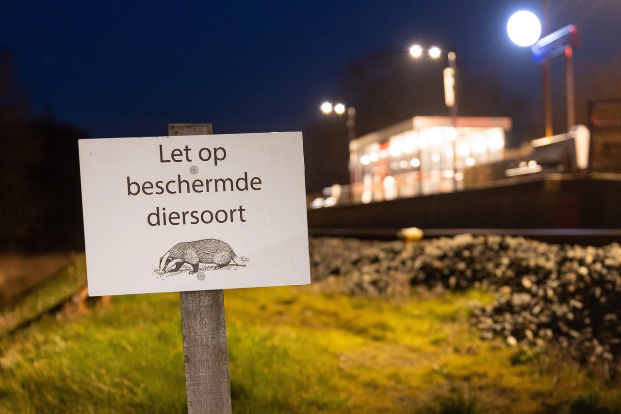 Bij station Molkwerum-Koudum in Friesland wordt gewaarschuwd voor de aanwezigheid van dassen.