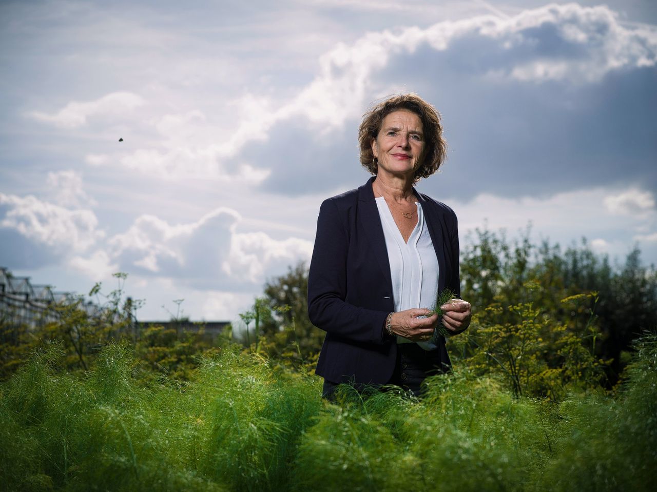 ‘Als er twee uit vorm zijn, ga jij geen goud winnen’ NRC