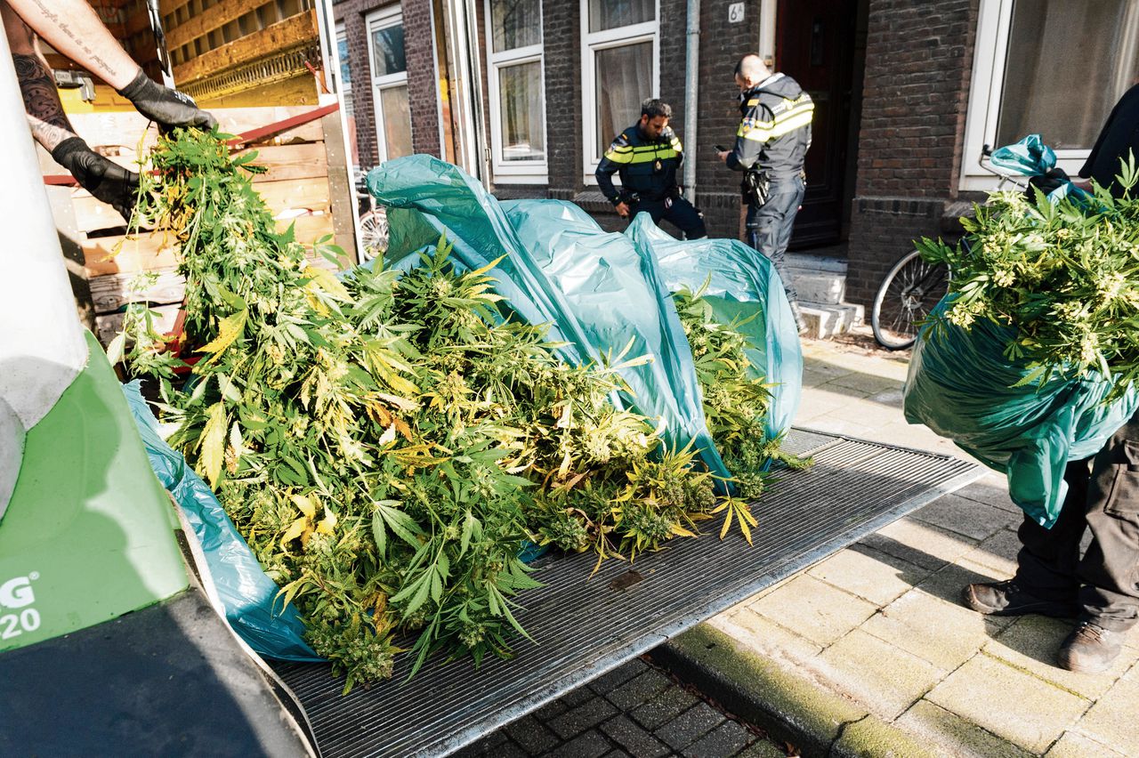 In Delfshaven wordt een pand met een wietplantage ontruimd. Bewoners mogen vervolgens vijf jaar geen sociale huurwoning meer huren in de regio Rotterdam.