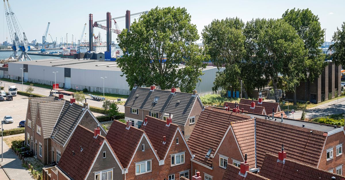 Bewoners van Heijplaat zijn klaar met overlast van afvalverwerker: ‘Ze moeten ons net zo irritant vinden als wij die vliegen’