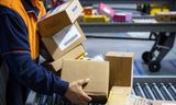 Labor productivity is strongly influenced by the economic value of the work performed. For example, a parcel delivery worker, no matter how hard he works, is less productive than an ASML employee who builds chip machines that sell for hundreds of millions of euros.