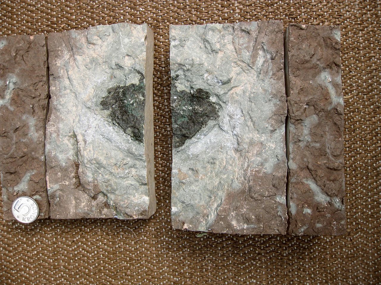 De (gebroken) fossiele meteoriet Öst65 (zwart), 470 miljoen jaar oud.