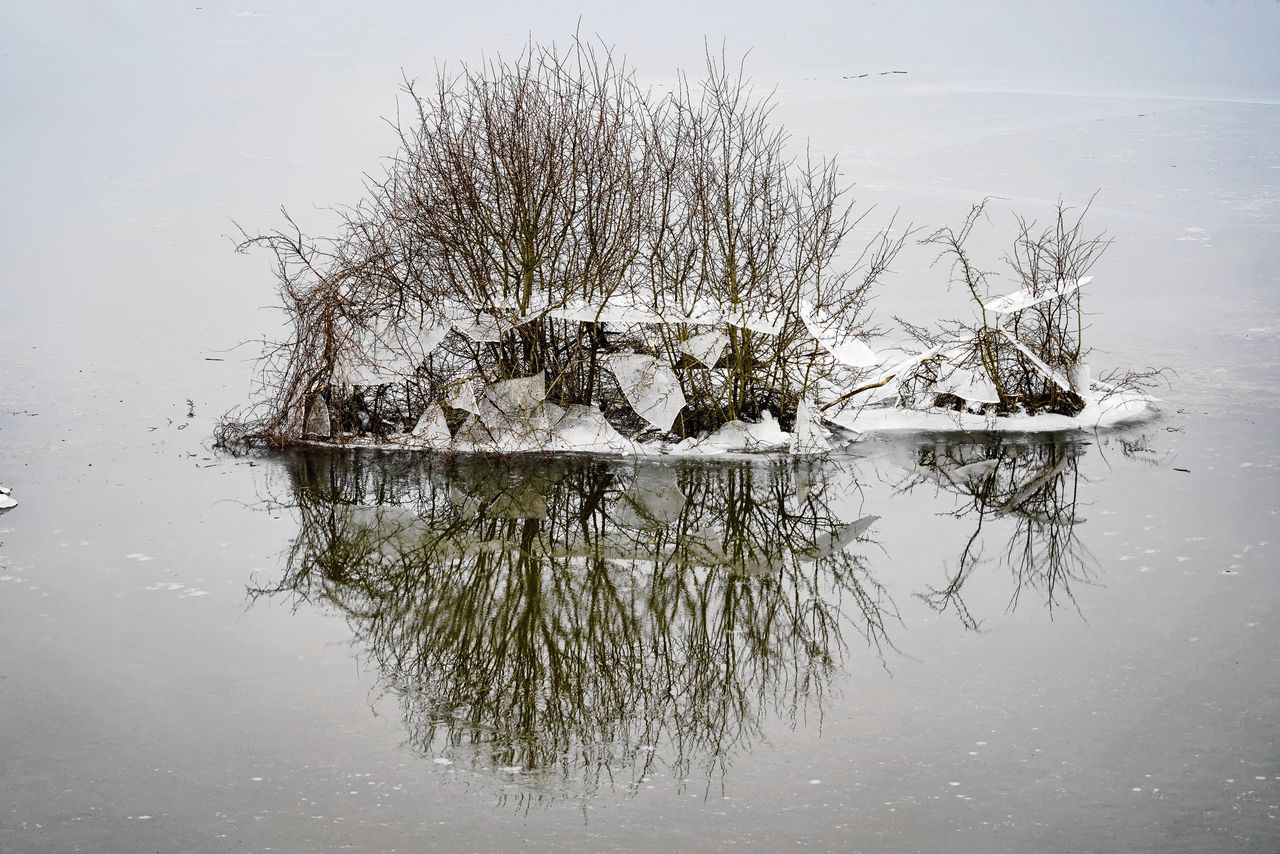 In de Ooijpolder langs de Waal bij Nijmegen is het hoge water afgelopen week alweer gezakt, zoals te zien is aan de ijsresten die in de struiken hangen.