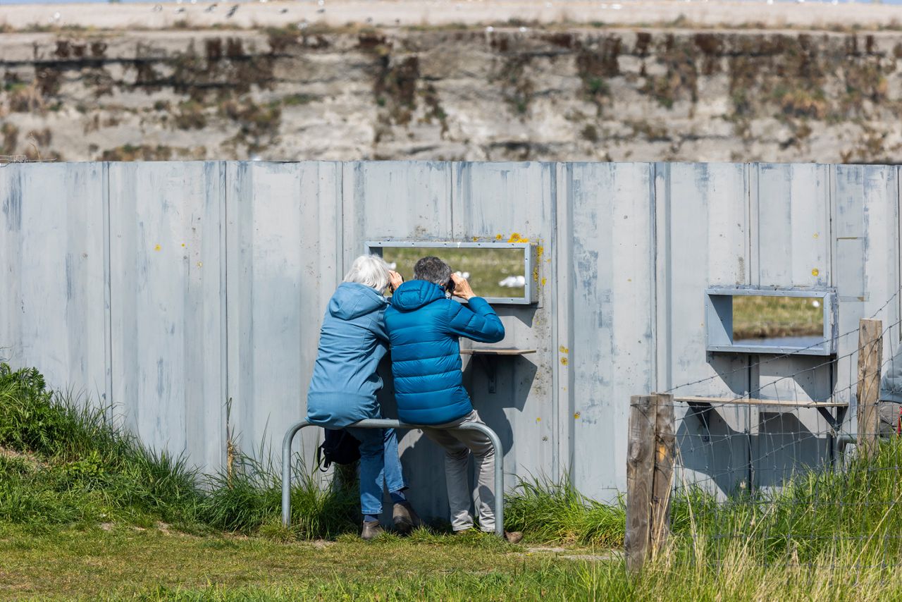 Ouderen genieten bij een vogelkijkscherm in de Balgzandpolder.