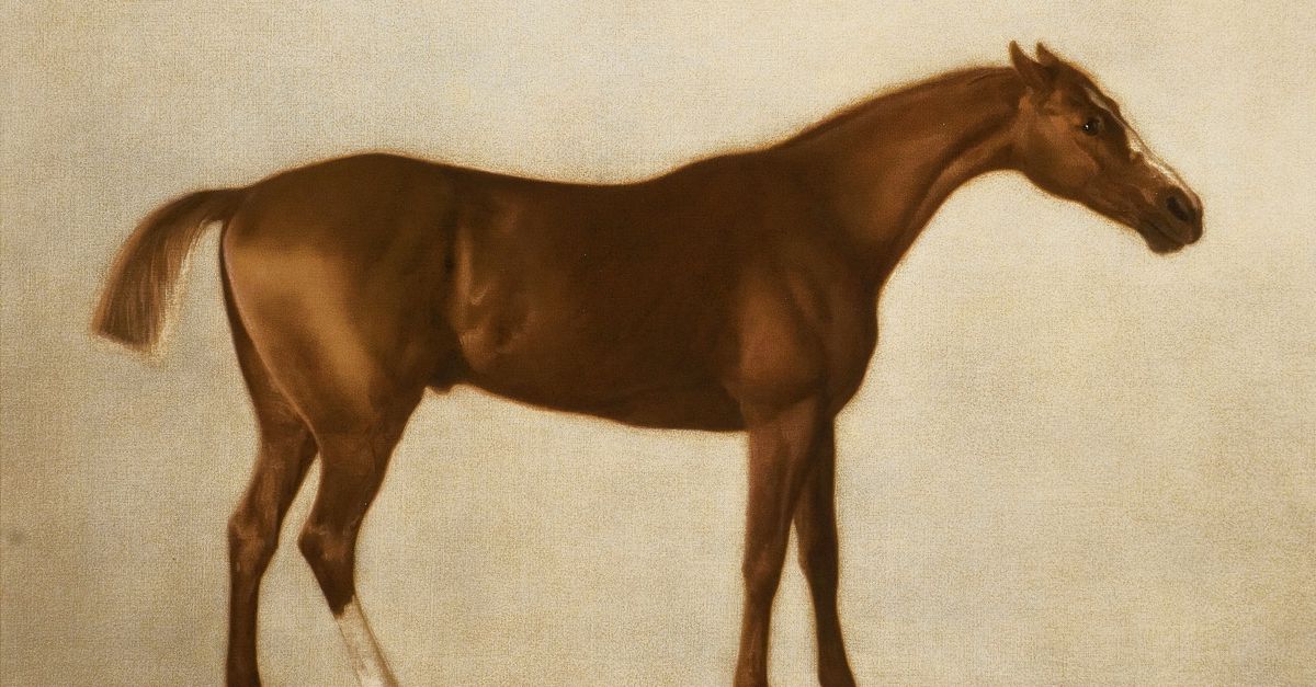 Schilder George Stubbs voelde mee met een ongelukkig paard - NRC