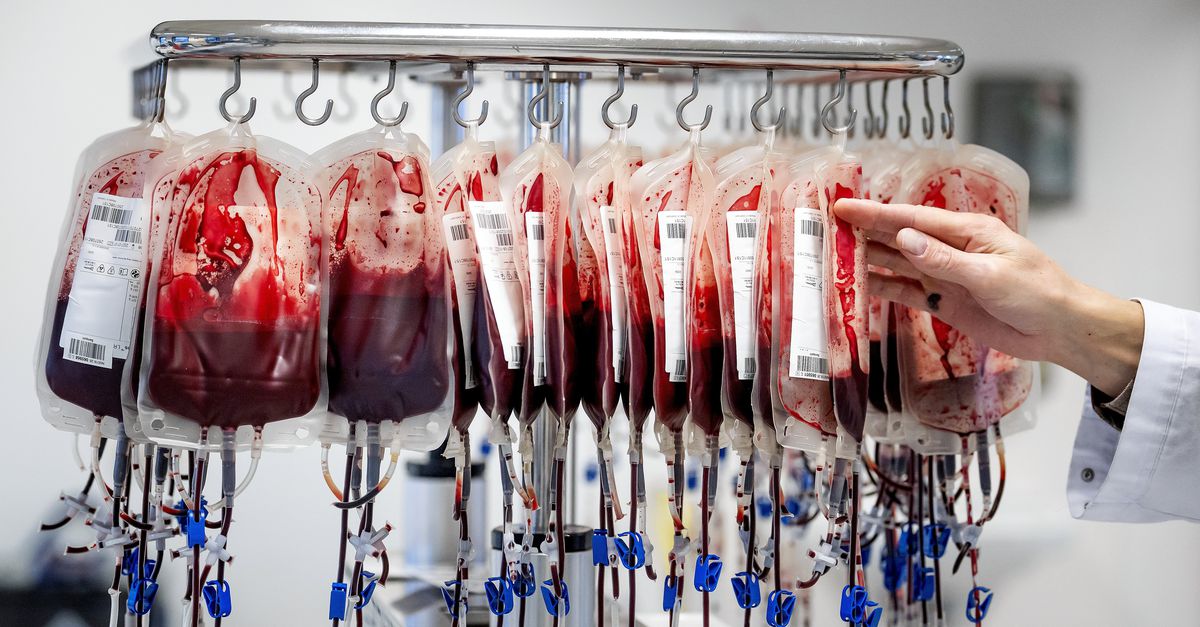 Bloeddonor besmet met westnijlvirus, voor het eerst sinds 2020, mogelijk is donorpatiënt ook besmet