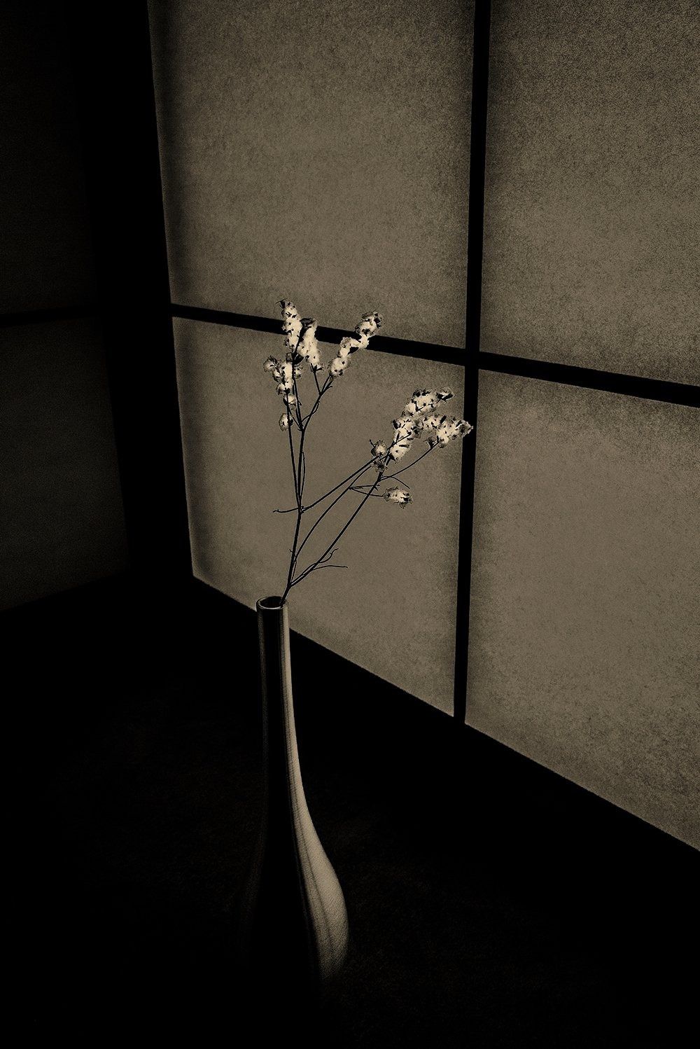 Uoon, 2019